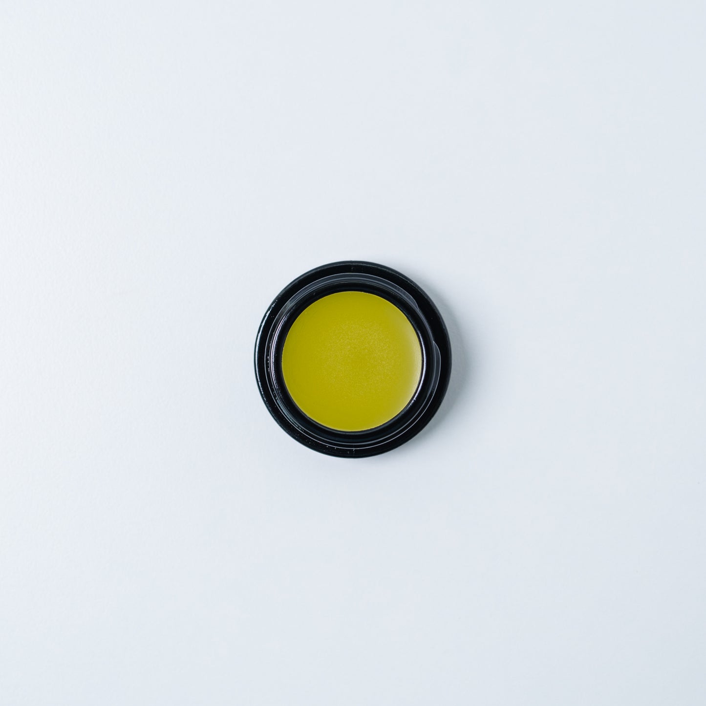 Mint Tallow Lip Balm