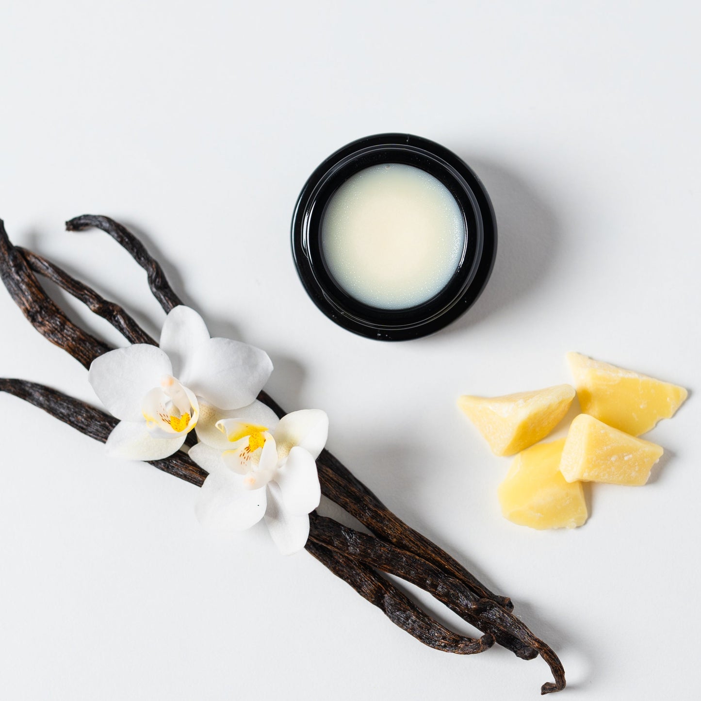 Cocoa Tallow Lip Balm