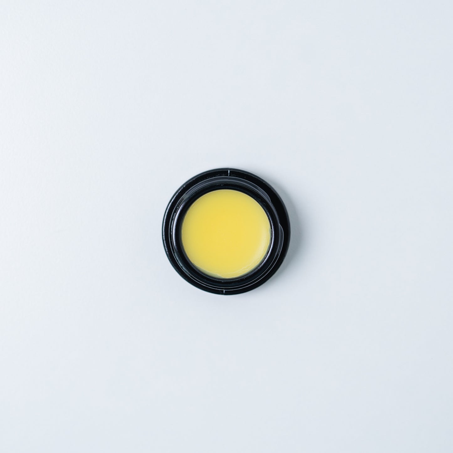 Lavender Tallow Lip Balm